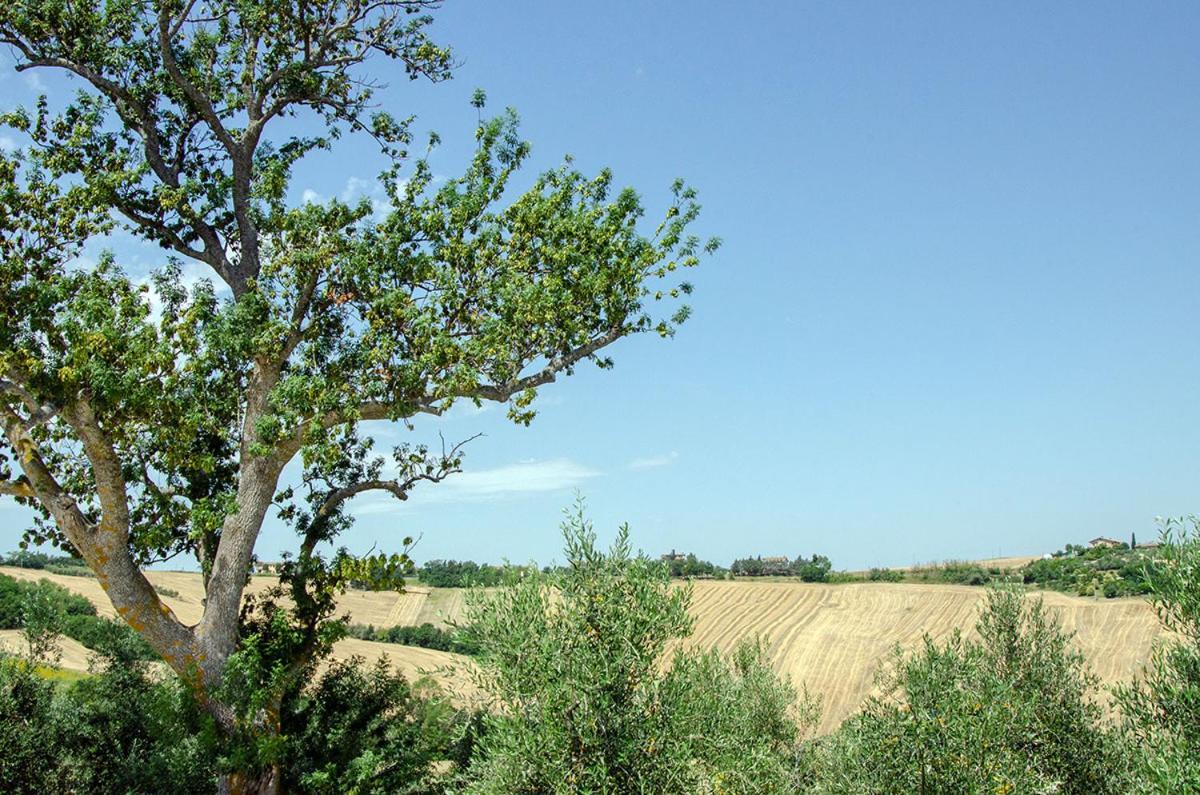 Agriturismo Tenuta Belvedere Βίλα Belvedere Ostrense Εξωτερικό φωτογραφία