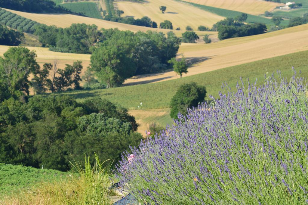 Agriturismo Tenuta Belvedere Βίλα Belvedere Ostrense Εξωτερικό φωτογραφία